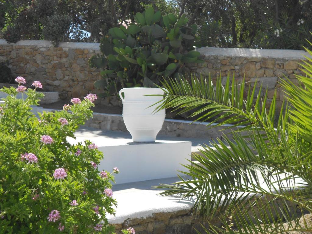 Casa Bianca Hotel Ornos  Exterior photo